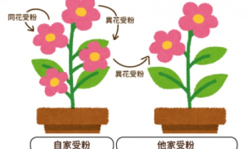 欧莱雅防晒匀净跟柔紫的区别网 | 欧莱雅柔紫防晒和小金管区别,欧莱雅防晒匀净跟柔紫的区别是什么