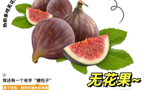 欧莱雅防晒霜柔紫-欧莱雅防晒匀净跟柔紫的区别网 | 欧莱雅柔紫防晒和小金管区别,欧莱雅防晒匀净跟柔紫的区别是什么