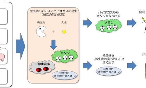 欧莱雅防晒霜柔紫-欧莱雅防晒匀净跟柔紫的区别网 | 欧莱雅柔紫防晒和小金管区别,欧莱雅防晒匀净跟柔紫的区别是什么