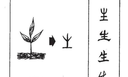 欧莱雅防晒匀净跟柔紫的区别网 | 欧莱雅柔紫防晒和小金管区别,欧莱雅防晒匀净跟柔紫的区别是什么
